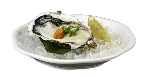 Japanese Oyster
